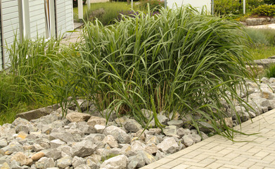 Garten 5.11