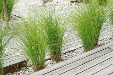 Garten 5.11
