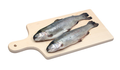 Two fresh trout fishes