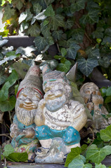 weathered retro garden decoration with garden gnomes