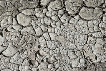 Closeup of dry arid soil with cracks and peeling pieces
