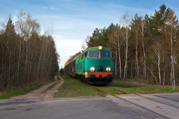 Passenger train passing through the forest