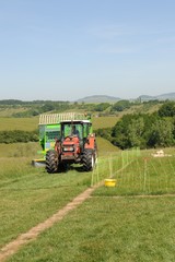 Fototapeta premium moisson