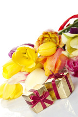 Tulips and two gift box