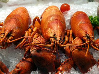 seafood market- raw crabs in ice