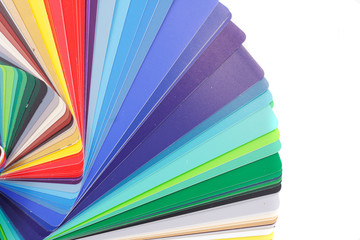 color palette