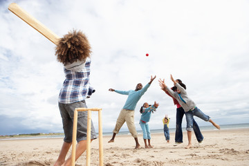 Family playing cricket on beach