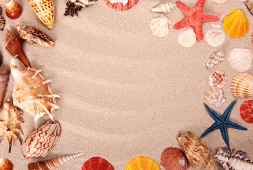 Sea shells on sand