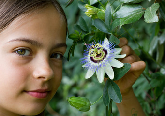 cueillir une passiflore
