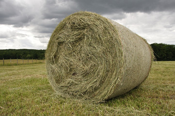 Rouleau de foin