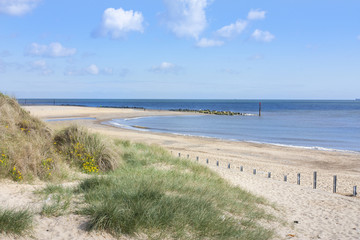 Fototapeta premium Caister on sea beach and sand dunes