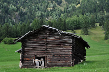 photo of a deserted cabin taken in Trentino Alto Adige