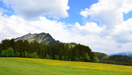 suisse alpine .... printemps