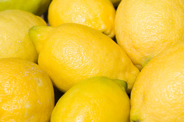 Group of lemons