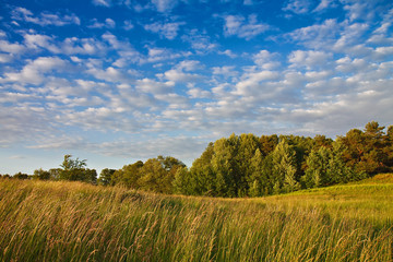 Fototapeta premium Feldberger Seenlandschaft.