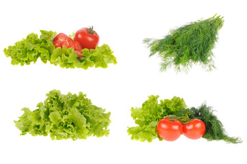 set of salad and tomato isolated on the white background