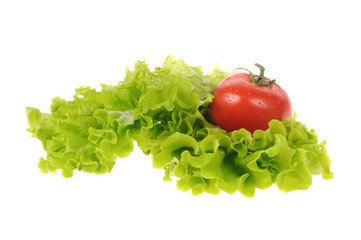 green salad and tomato isolated on the white background