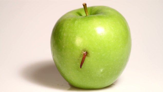 Apfel mit Wurm