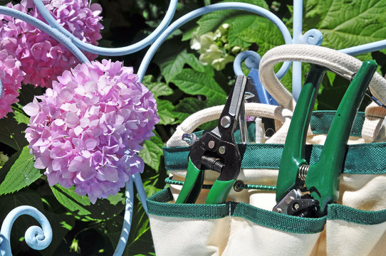 giardinaggio e ortensie