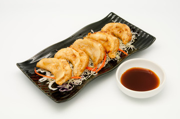 Fried Dumplings Chinese Style Cuisine