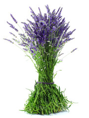 Lavender bouquet