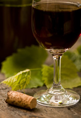 Czerwone wino