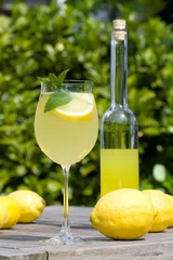 Gordijnen Cocktail with lemon slices and balm © gudrun