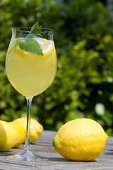 Cocktail with lemons in the garden