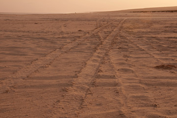 tyre tracks across the sand