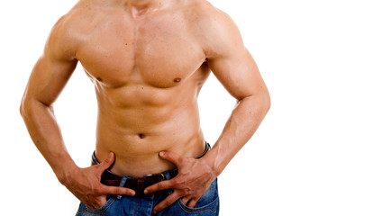 Muscular male torso on white background