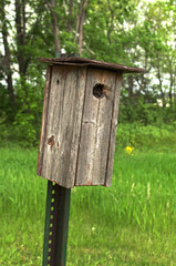 Wooden Bird House