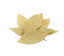 Fototapeta premium Dried Bay Leaves Isolated on White Background