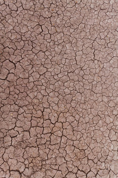 Dry and Arid