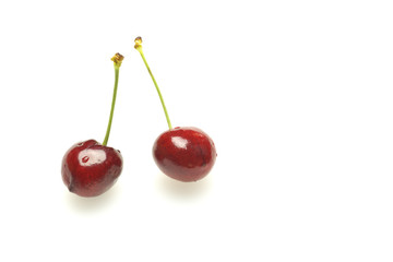 アメリカンチェリー