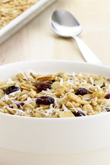 fresh from the oven healthy granola