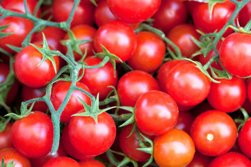 Tomato cherry