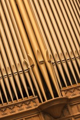 Church Organ Pipes