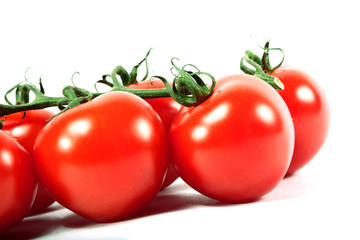 isolated tomato