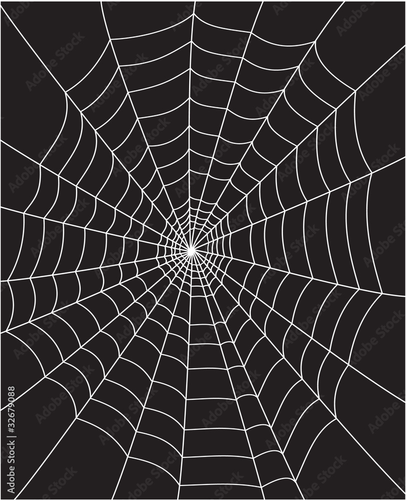 Wall mural spider web