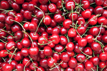 ciliegie -  cherries