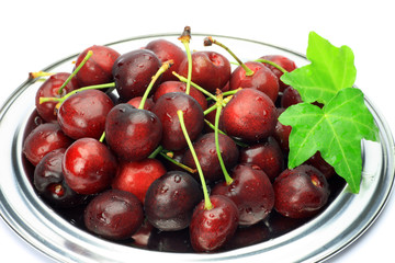 American cherry