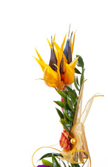 Exotic flower