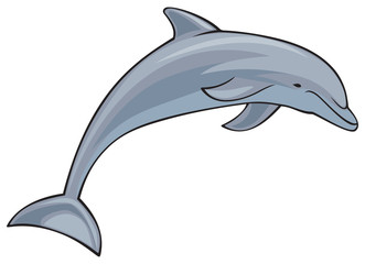 dolphin © tribalium81