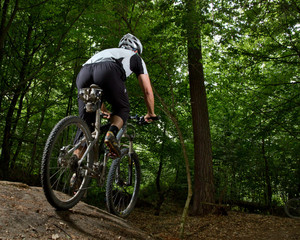 Mountainbiker auf einem Waldweg