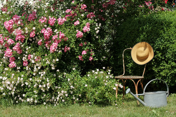 Rosengarten mit großem Buchsbaum