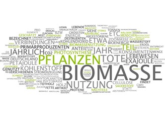 Biomasse