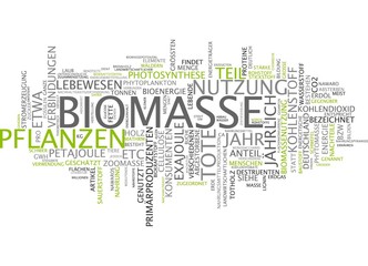 Biomasse