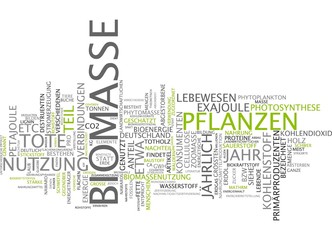 Biomasse