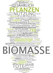 Fototapeta premium Biomasse