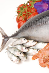 SARDE E CODA DI TONNO